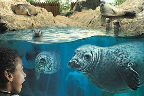 Hunstanton SEA LIFE Sanctuary
