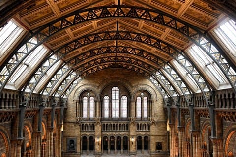 Natural History Museum London Tour