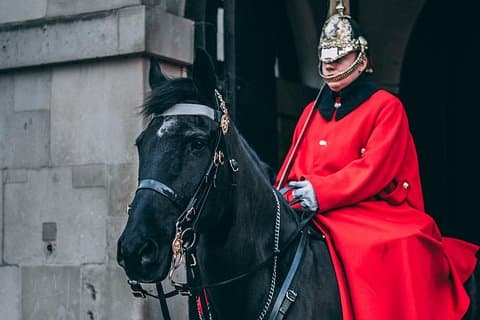 Animals in London