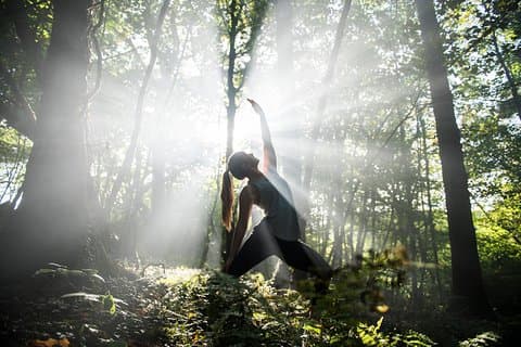 Woodland Yoga