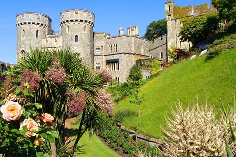 Windsor