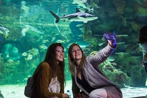 SEA LIFE Brighton Admission Ticket