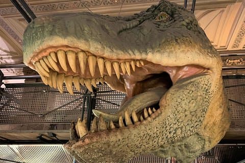 Natural History Museum, London