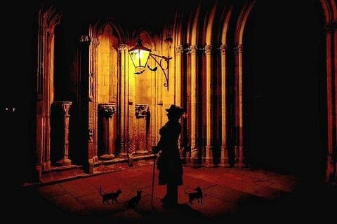 Shadows of York: Ghost Walk and Horrible History.
