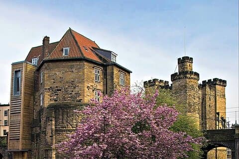 90 minute Old Newcastle Walking Tour - FREE castle entry included