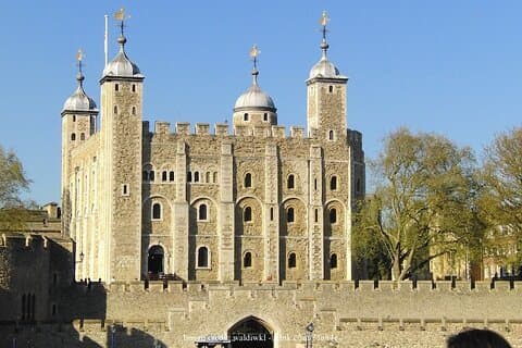 Tower of London & the Heart of Westminster: Private Half-Day Tour
