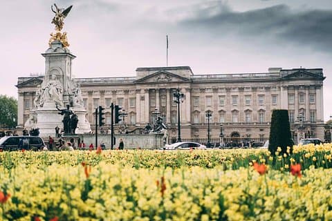 Fun Interactive Phone Treasure Hunt Buckingham Palace Parks