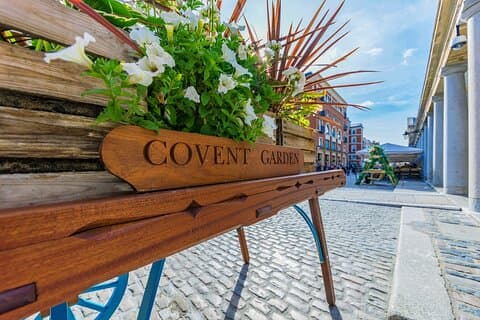 Private Family Walking Tour of Historic London Charm