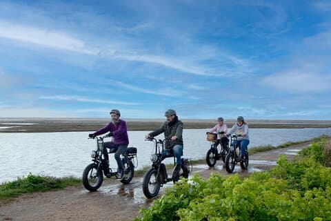 Miles and miles of coastal New Forest trails