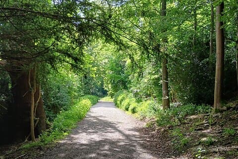 Blenheim nature spotting bike tour