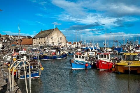 Discover the magic of Fife’s coastal gems on our private tour from Edinburgh!