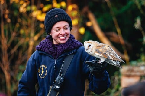 The iconic Bird of Prey show is included in the Tour.