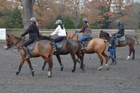 The Polo Experience & Lessons Surrey