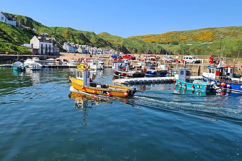 Gardenstown