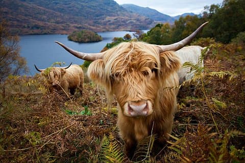 Photo by our guide Phil Crowder