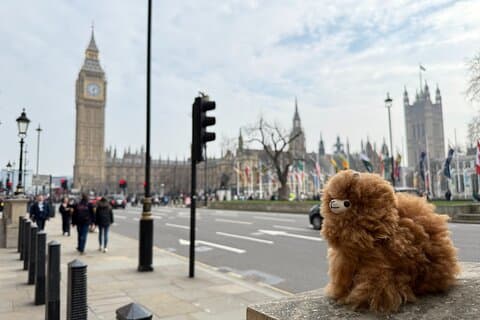 Royal London Westminster and Palaces Private Guided Walking Tour