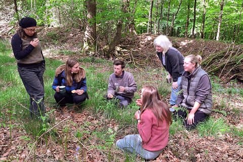 Forest Nature Therapy Experiences