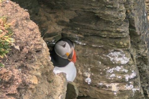 Orkney Echoes: Private Half Day Shore Excursion