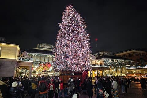 Covent Garden Tree