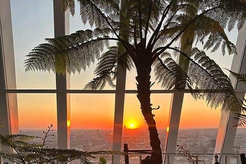 Sky Garden Access Ticket & 2 Course Dinner at Larch Restaurant