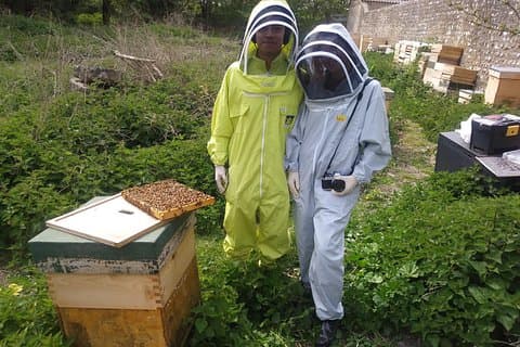 Bee a Beekeeper - Experience the buzz