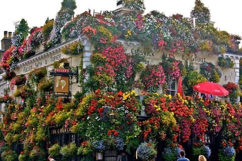 The Churchill Arms in Bloom: A famous Kensington pub covered in flowers—one of London’s most photogenic hidden gems.