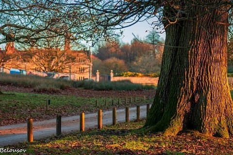 Wuthering Heights & Bronte Country Day Trip from London