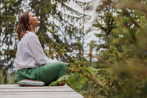 Woodland Immersion Retreat Half Day Spa Wellness Experience
