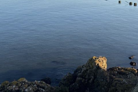 Fife History and Folklore Guided Tour