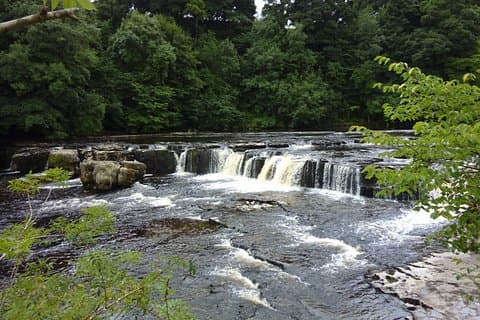 Yorkshire Dales Private Tour Swaledale and Wensleydale
