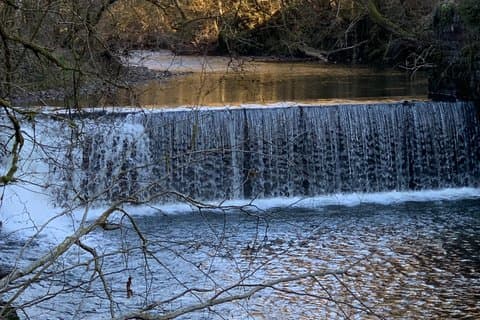 Bushcraft Taster Session in South Wales