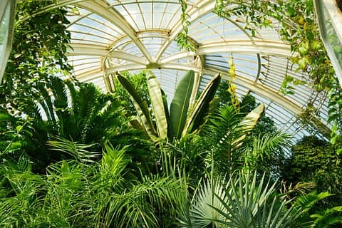 Kew Gardens Iconic Landmarks & Secret Spots Self Guided Tour
