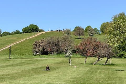 London - Camden: Regent’s Park and Primrose Hill Walking Tour