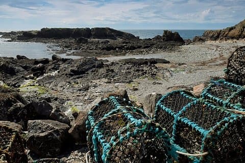 Private Tour: Peel Vikings & the Scenic West Coast
