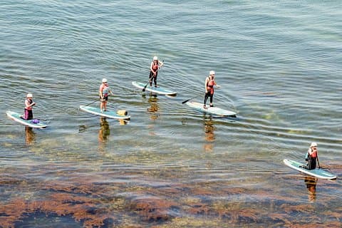 Introduction to Stand Up Paddleboarding in Studland