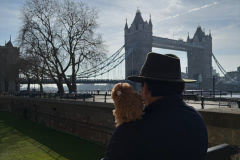Tower of London Private Guided Tour - Not All Guests Left Alive