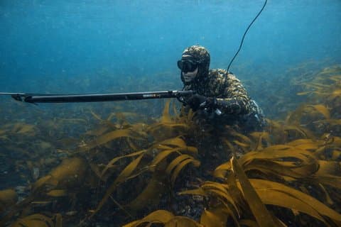 Private Guided Spearfishing in Cornwall