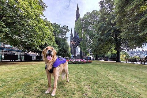 Edinburgh Storytelling Walk Makars Court to Scott Monument
