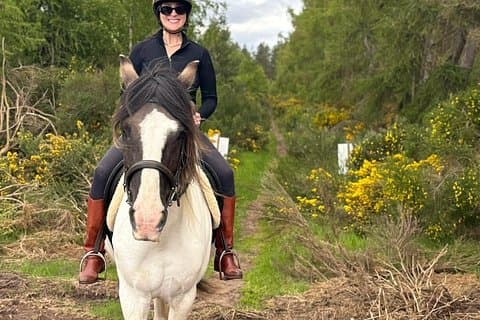 Tain Horse Ride Shared Group Activity
