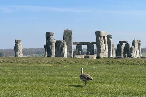 Bath and Stonehenge From London - Private Luxury Day Tour