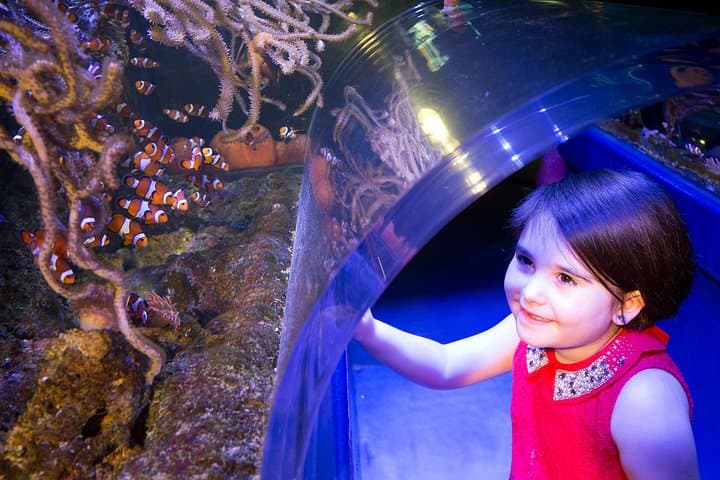 SEA LIFE Manchester