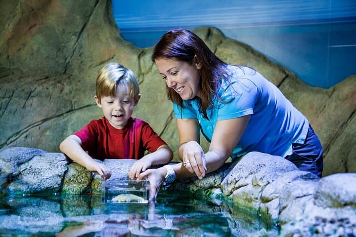 SEA LIFE Manchester