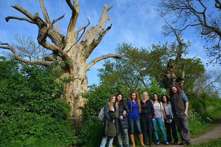 Happy Groups with Tor's Tours