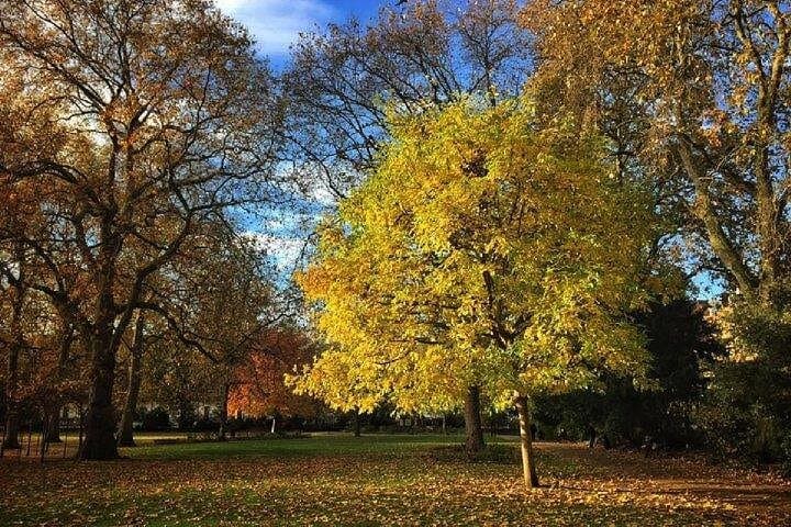 One of the many squares in Bloomsbury