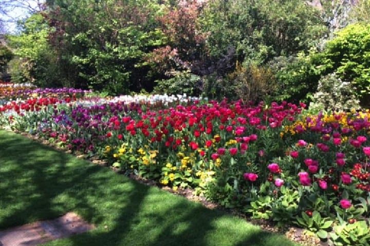 St James's Park