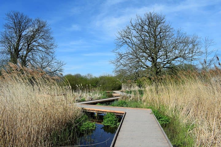 London's Best Kept Secret Bike Tour