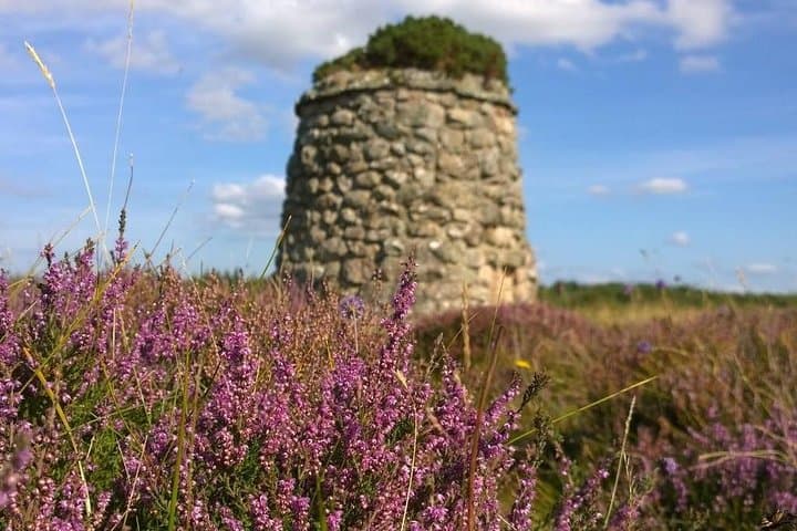 Heather at Culloden