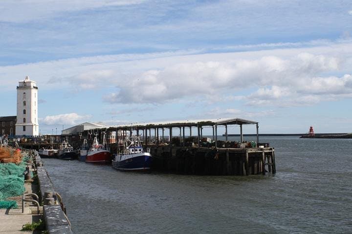 Vera Location in North Shields