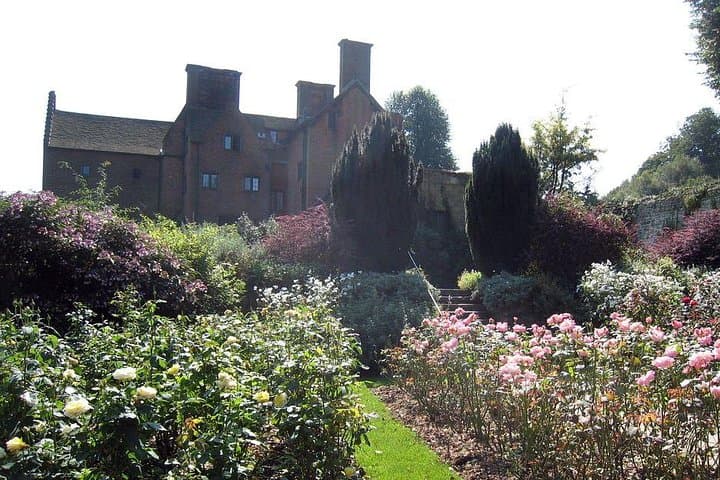 Clemmies Rose Garden