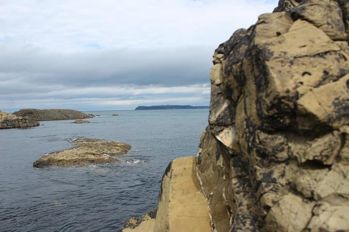 Small Group Giant's Causeway Day Tour from Belfast